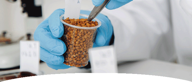 sustainability-food-safety_mobile_1