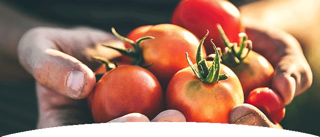 sustainability-nurturing-sustainable-live_mobile