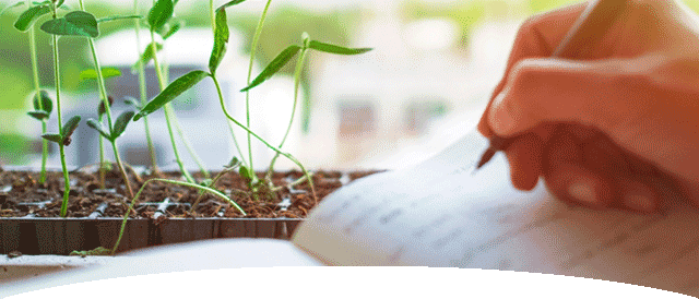 sustainability-reporting_mobile